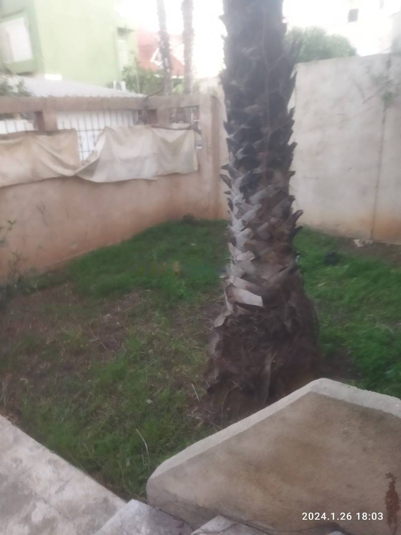 Location Niveau de villa F4 Ain Taya
