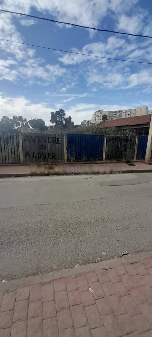 Vente Terrain El Harrach