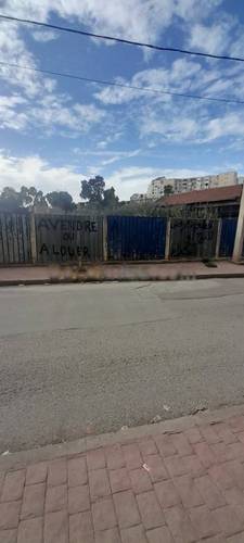 Vente Terrain El Harrach