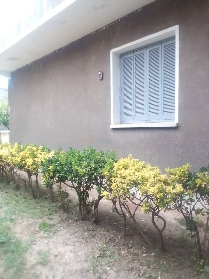 Location Appartement F3 El Biar
