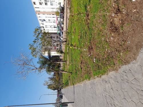 Vente Appartement F4 Reghaia