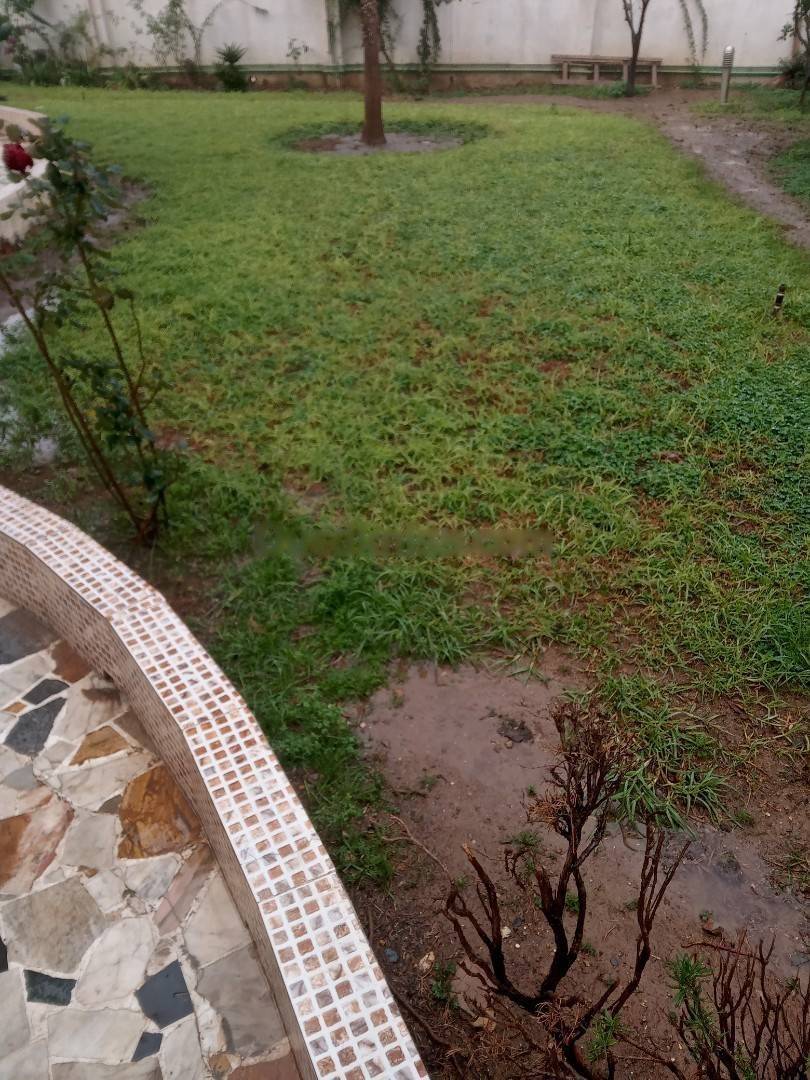 Location Villa F8 Cheraga