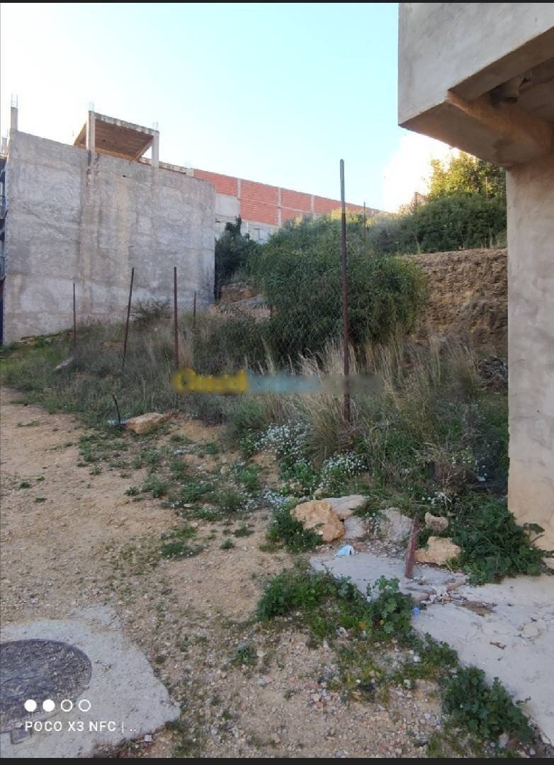 Vente Terrain Saoula