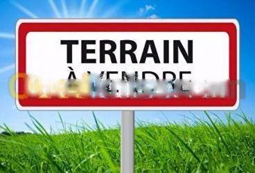 Vente Terrain Reghaia