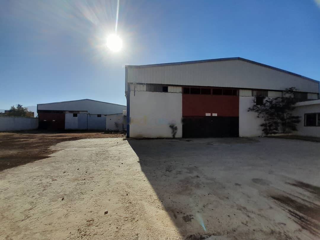 Location Hangar Sidi Moussa