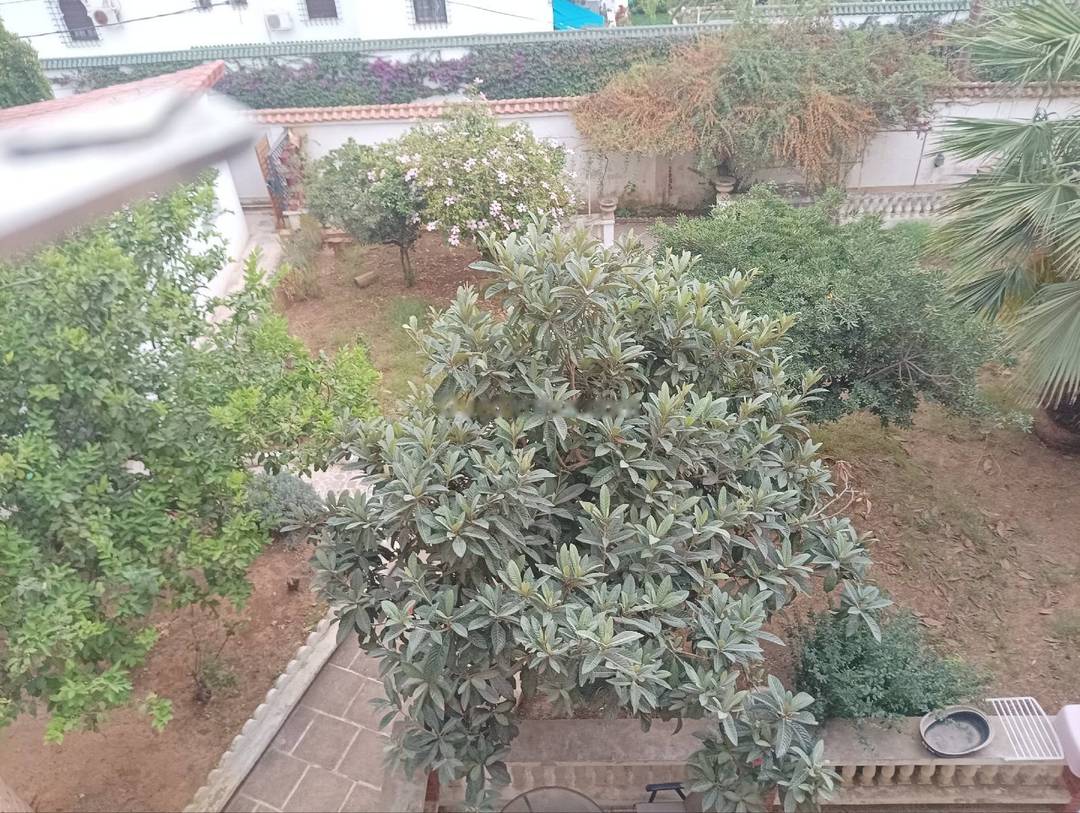 Location Niveau de villa F4 Ben Aknoun