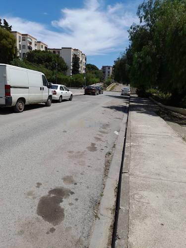 Location Local F1 Kouba