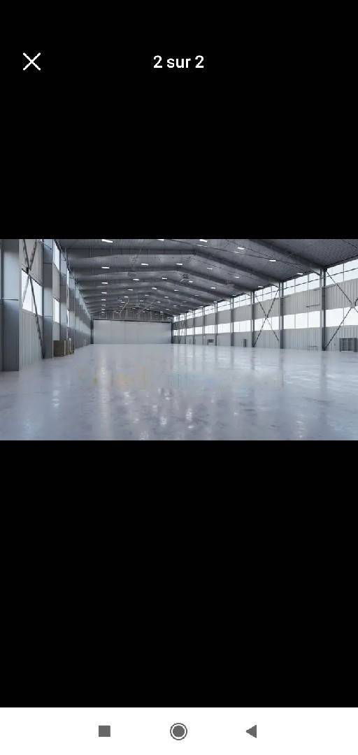 Location Hangar Ain Benian