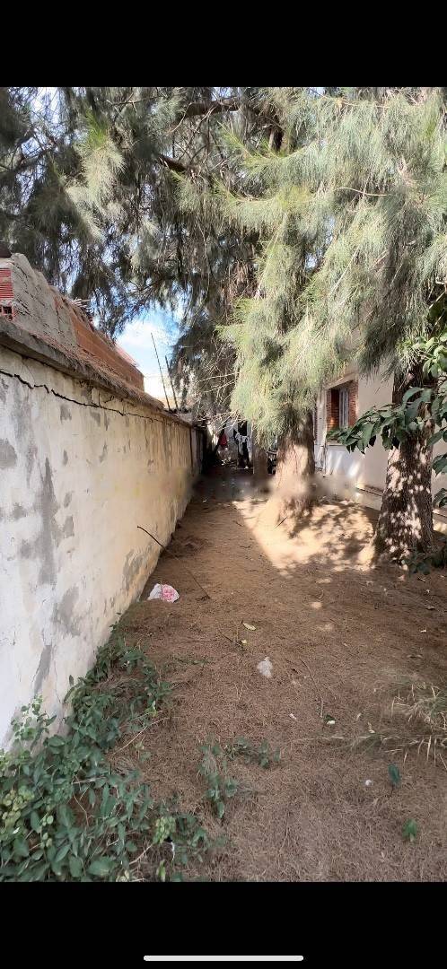 Vente Terrain Dely Ibrahim