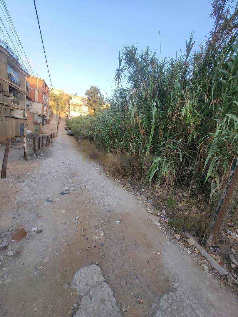 Vente Terrain Saoula