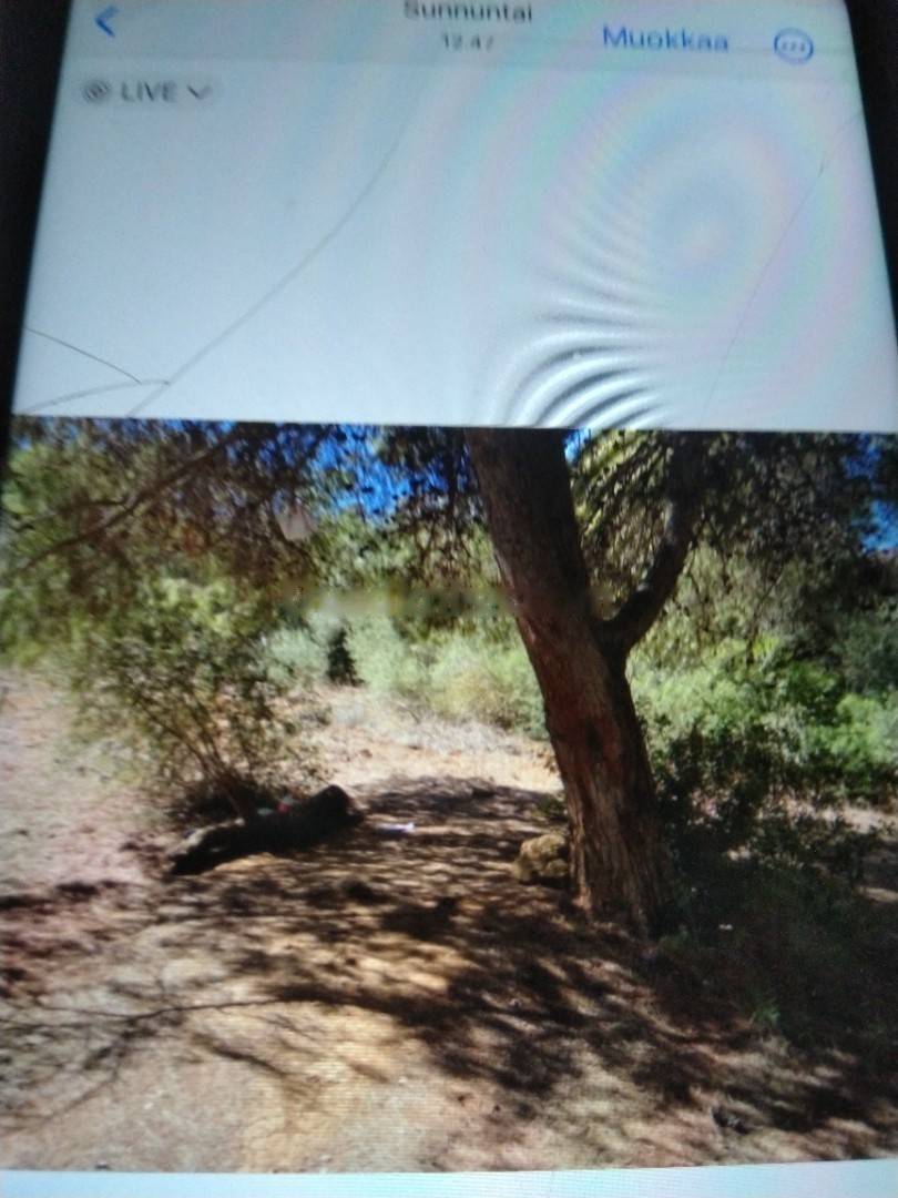 Vente Terrain El Achour