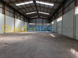 Location Hangar Ouled Chebel