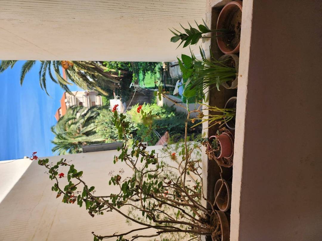 Vente Appartement F4 Dar El Beida