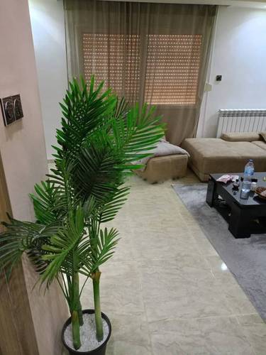 Location Appartement Reghaia