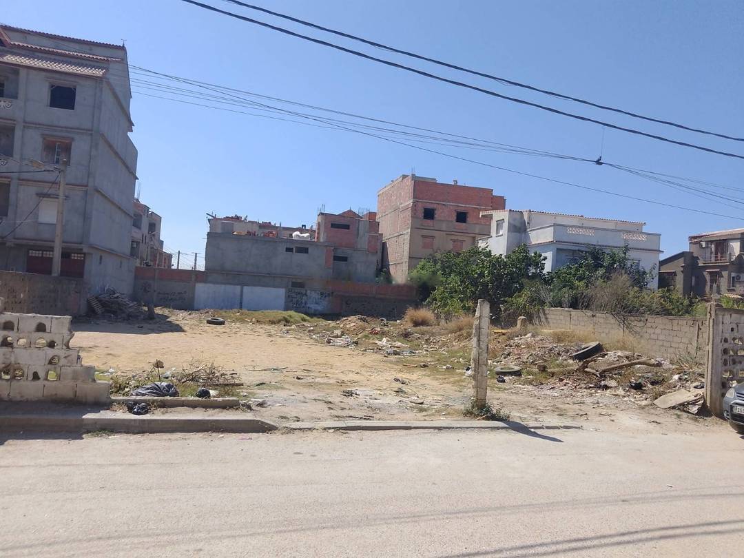 Vente Terrain Reghaia