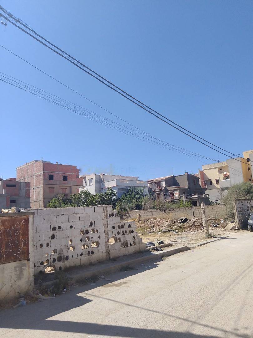 Vente Terrain Reghaia