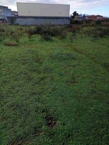 Vente Terrain Birtouta