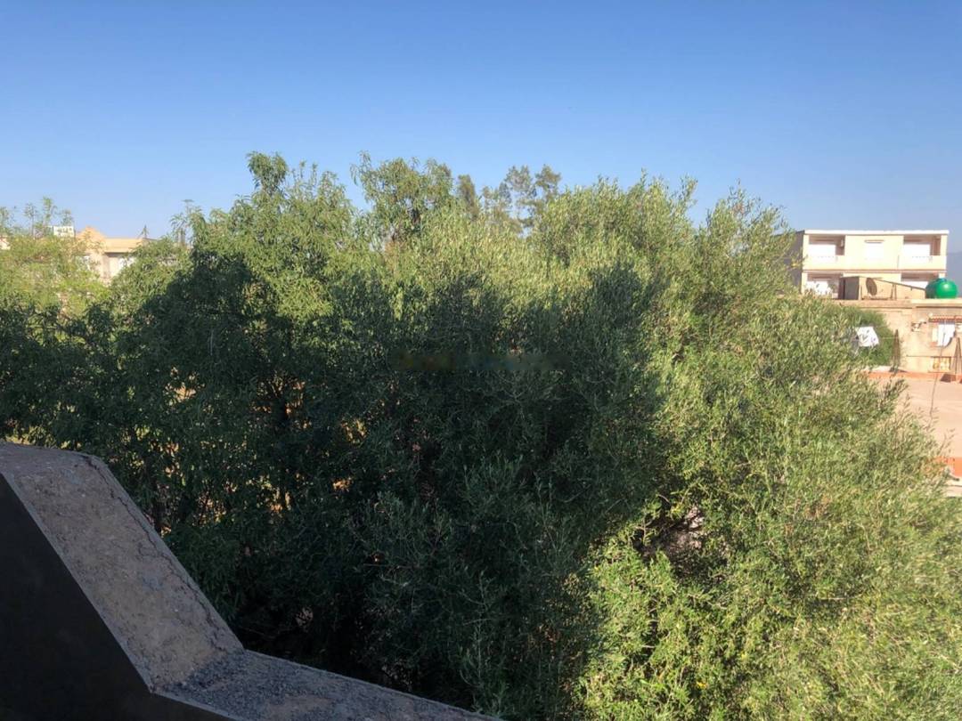 Vente Villa F10 Douera