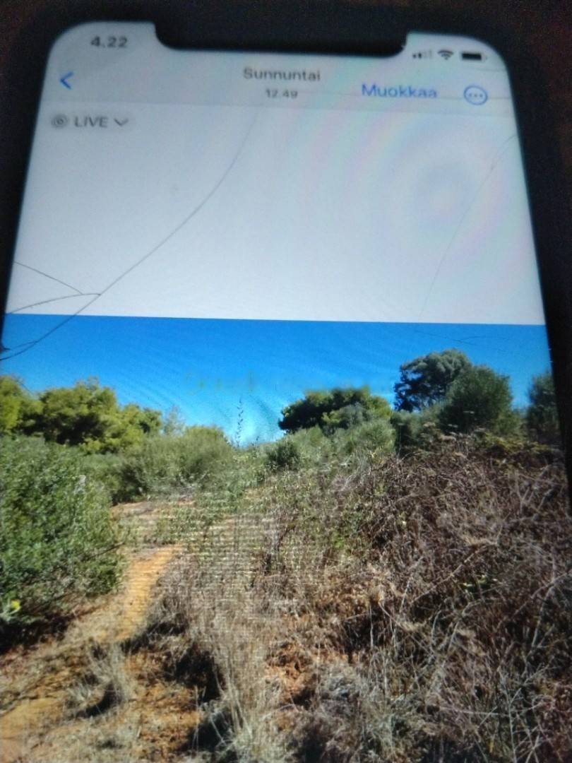 Vente Terrain El Achour