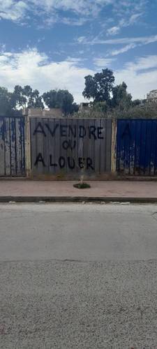 Vente Terrain El Harrach