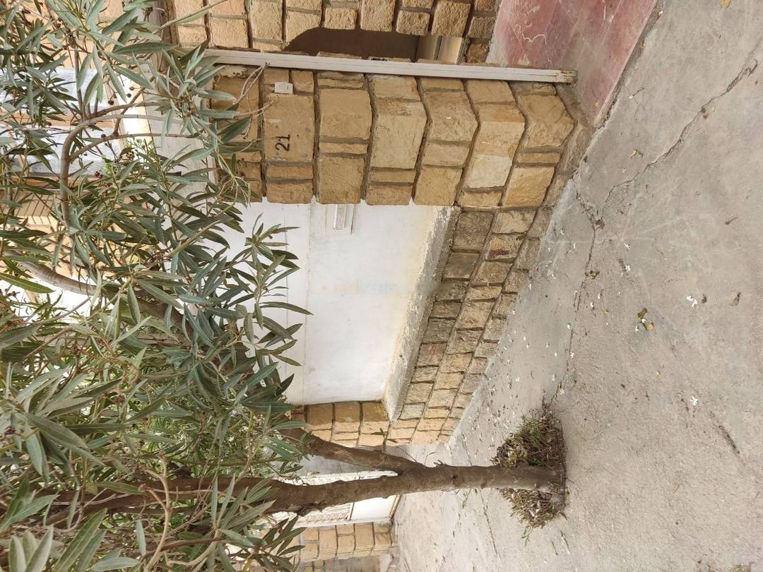 Vente Villa F12 Douera