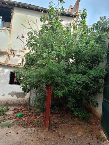 Vente Hangar Hussein Dey