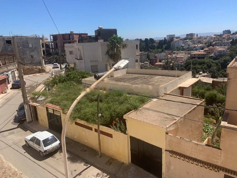 Vente Carcasse Bouzareah