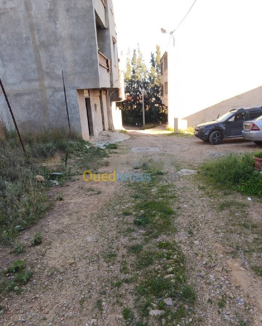 Vente Terrain Saoula