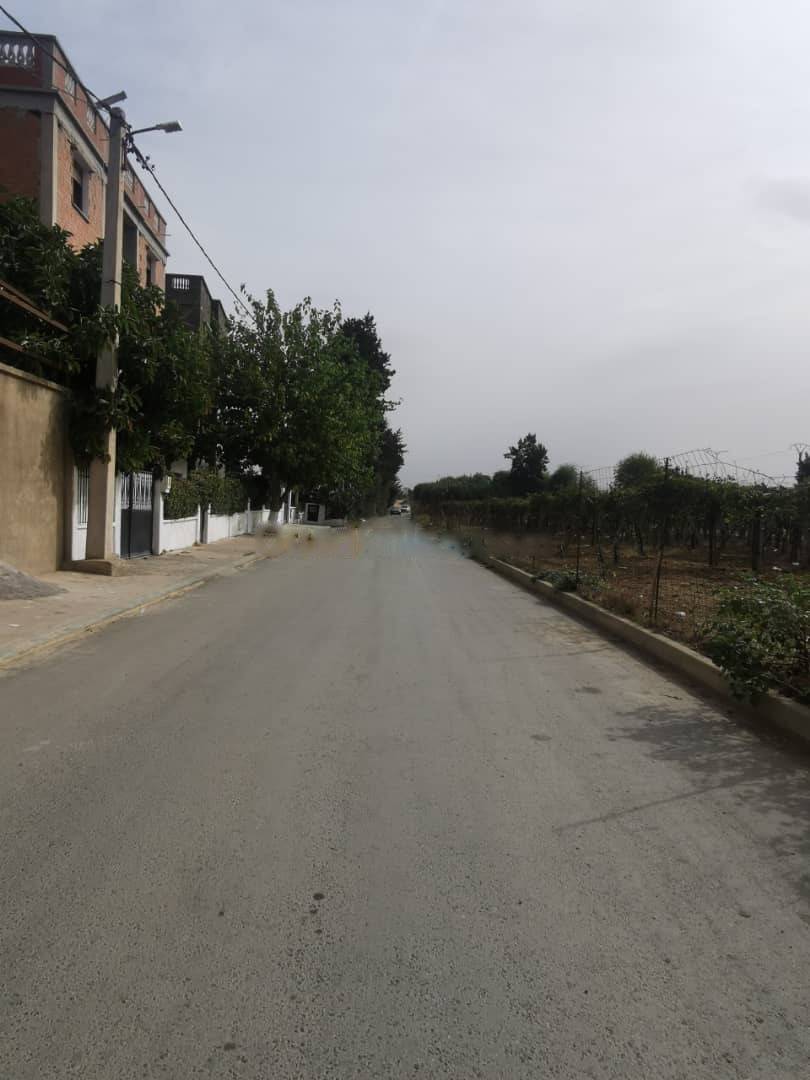 Vente Appartement F3 Reghaia