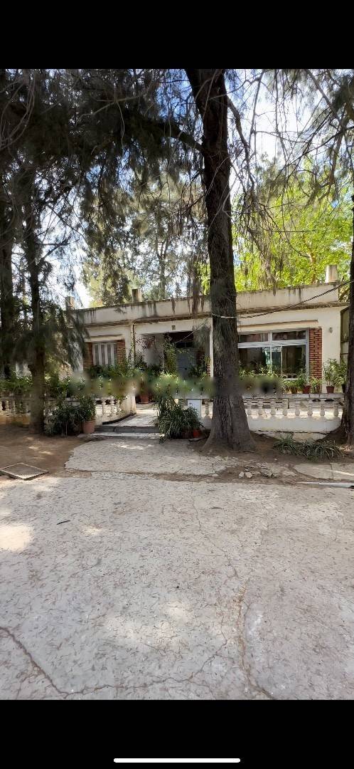 Vente Terrain Dely Ibrahim