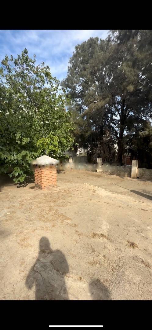 Vente Terrain Dely Ibrahim