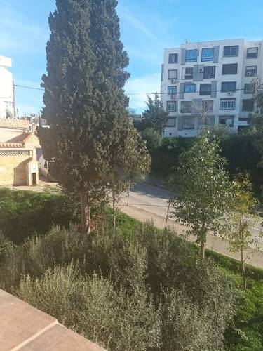 Location Appartement F3 Bir Mourad Rais