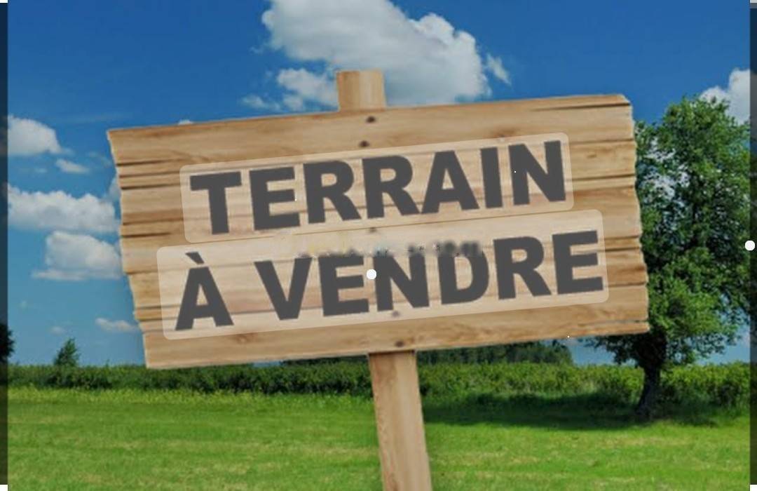 Vente Terrain Draria