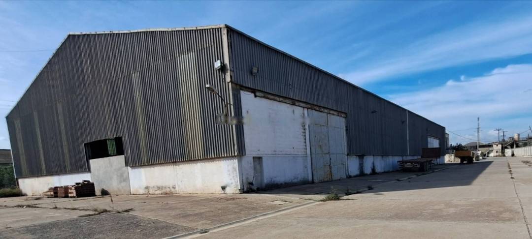 Location Hangar Reghaia