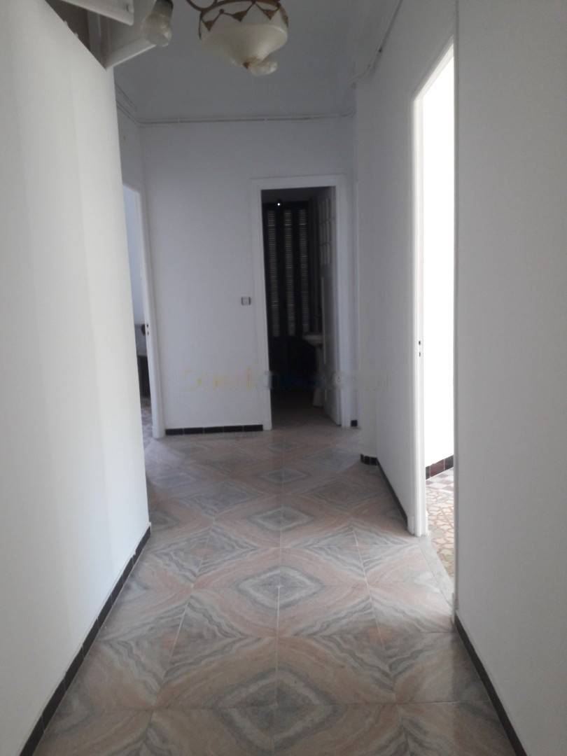 Location Appartement F4 Hydra