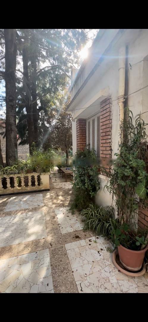 Vente Terrain Dely Ibrahim