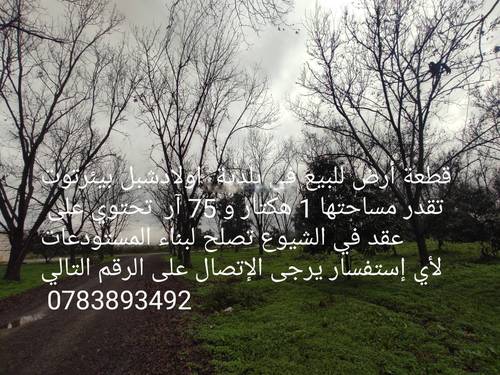 Vente Terrain Ouled Chebel