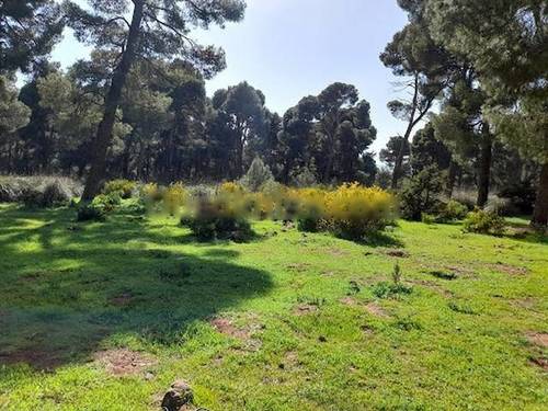 Vente Hangar Cheraga