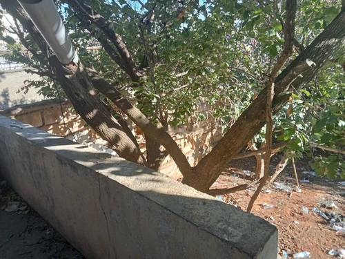 Vente Terrain Saoula