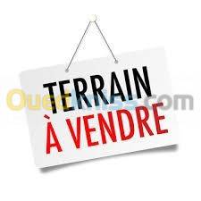 Vente Terrain Belouizdad