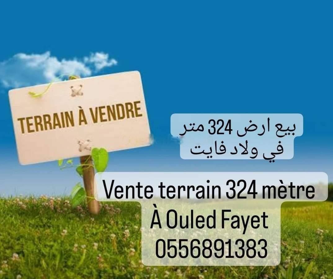 Vente Terrain Ouled Fayet