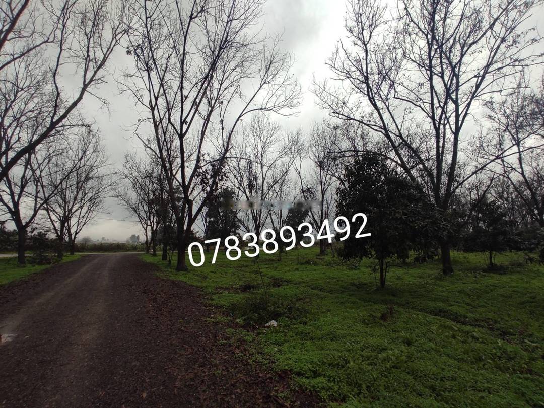 Vente Terrain Ouled Chebel