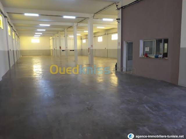 Vente Usine Staoueli