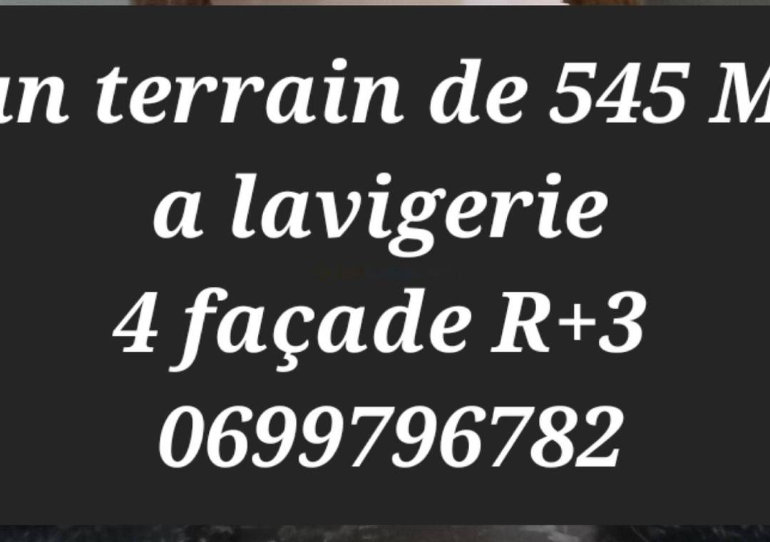 Vente terrain el harrach