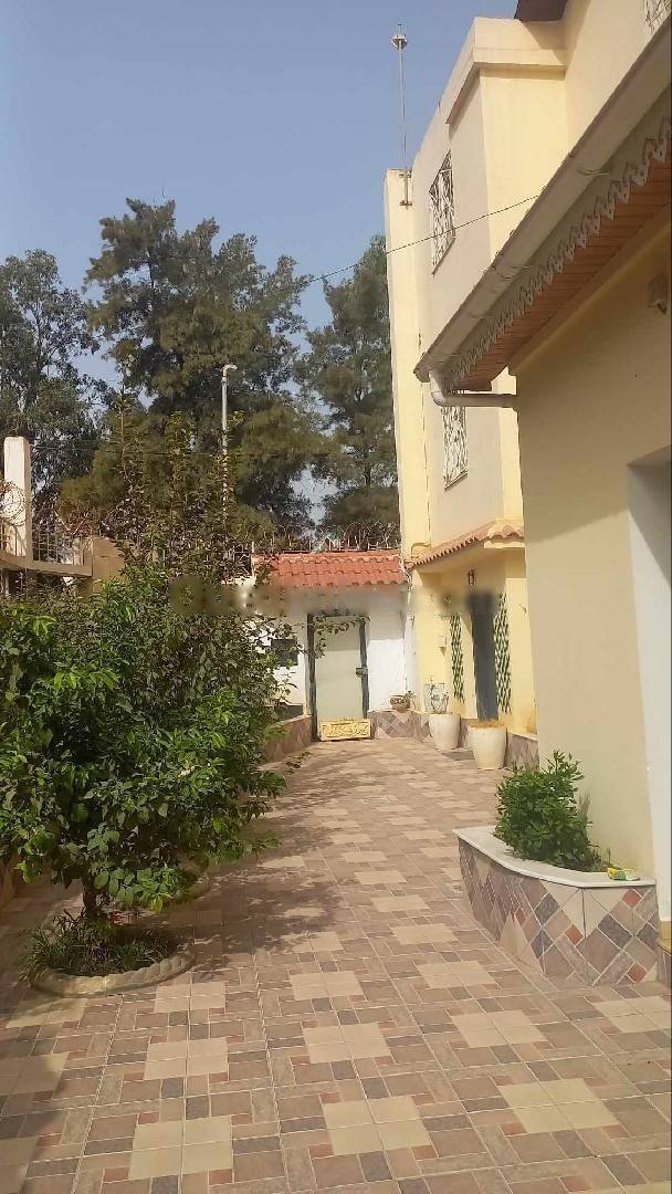 Vente Villa Kouba