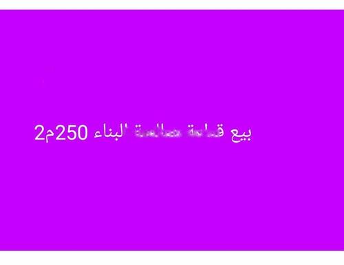 Vente Terrain Bordj El Bahri