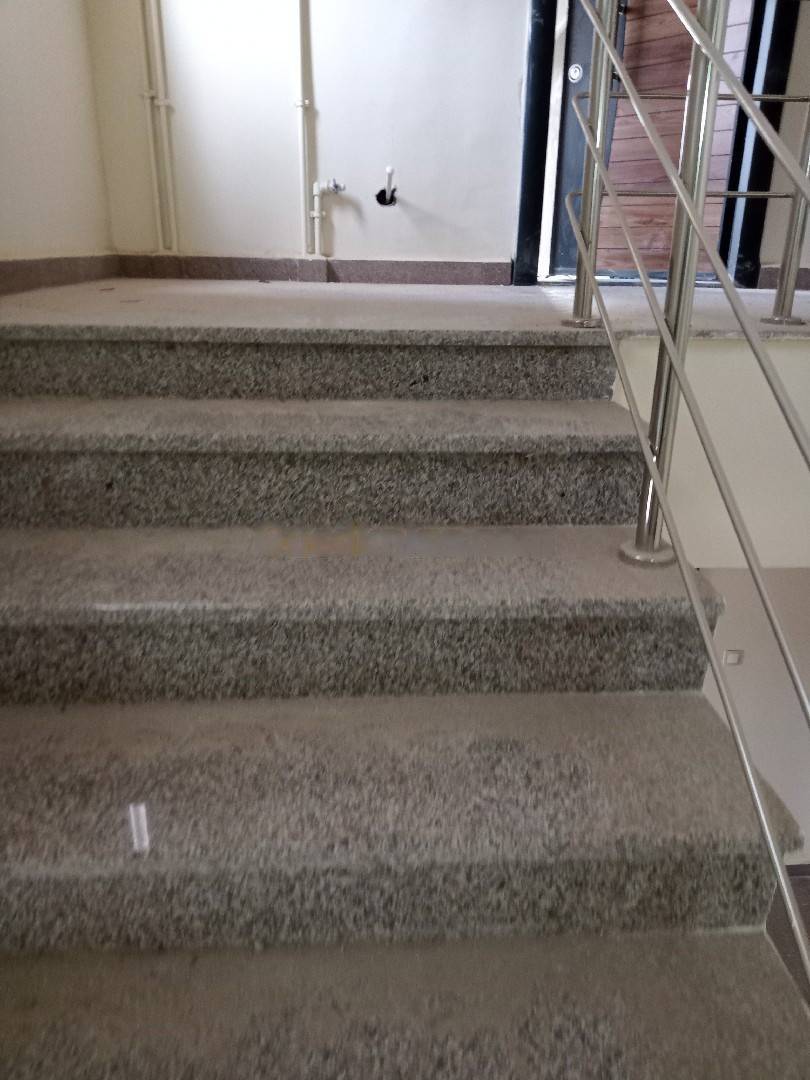 Location Appartement F3 Cheraga