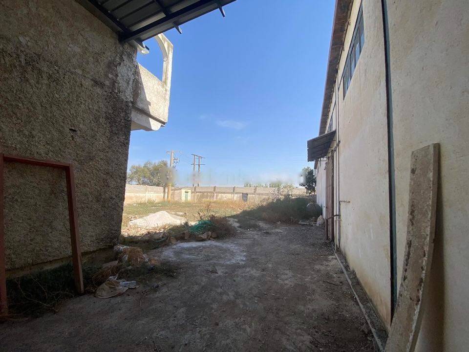 Location Hangar Tessala El Merdja