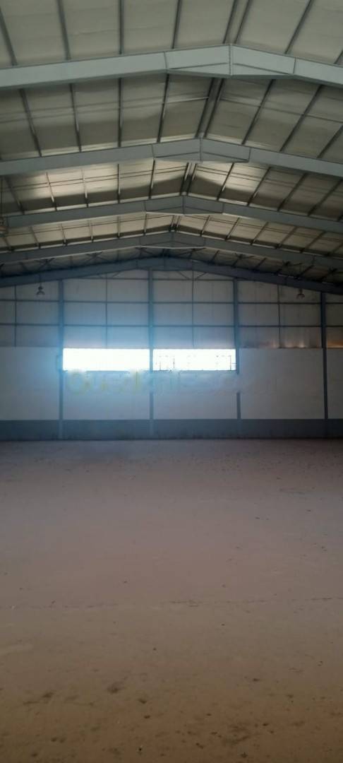 Location Hangar Blida