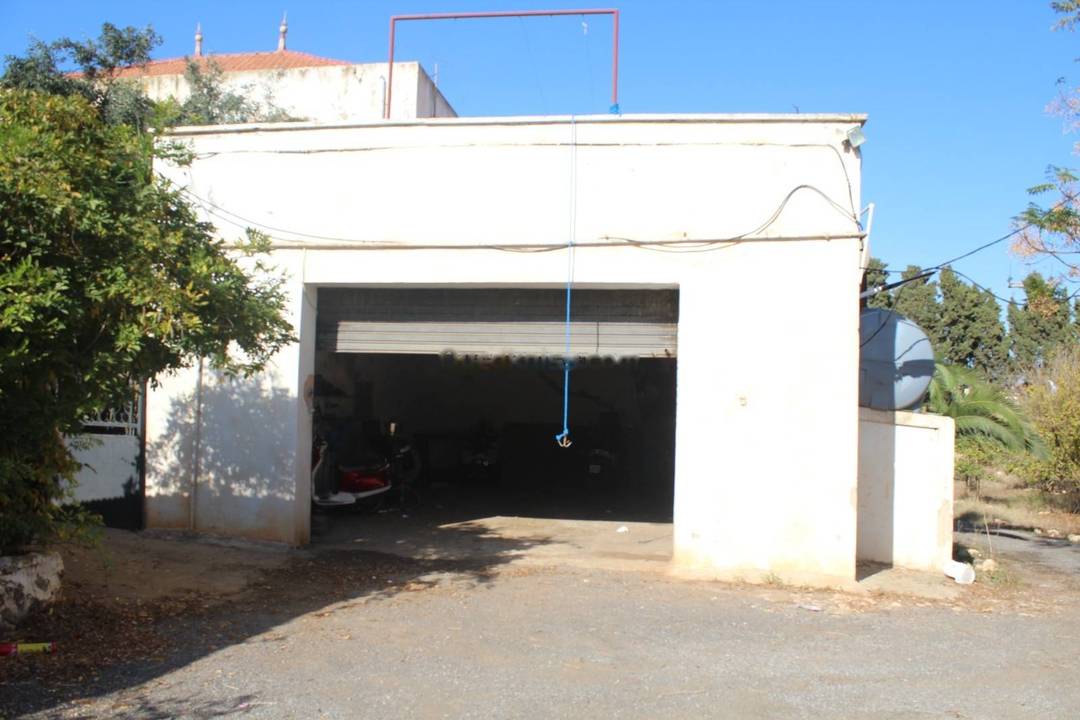 Vente Terrain Ain Benian